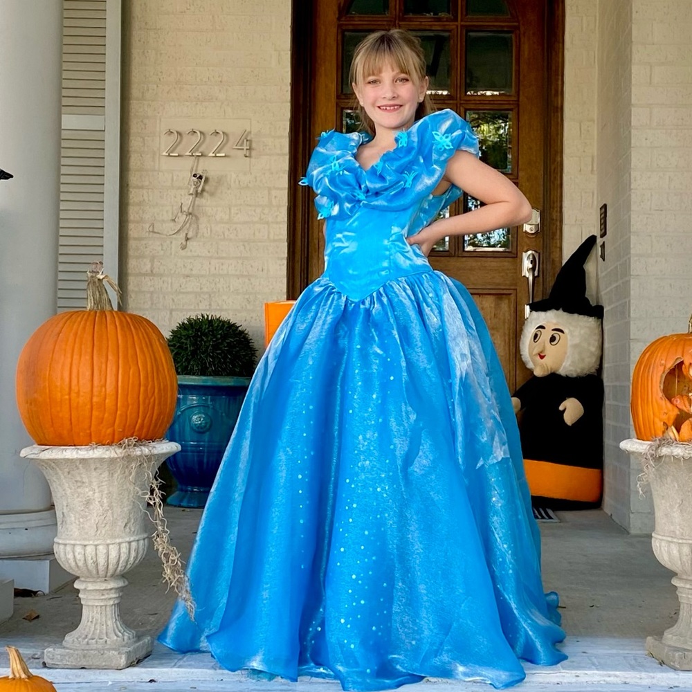 Custom Cinderella Gown Costume with 3D Butterfly Details on the Bust